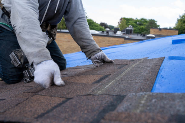 Best Commercial Roofing Services  in Muse, PA
