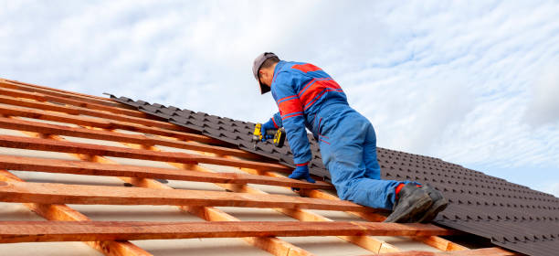 Best Skylight Installation and Repair  in Muse, PA